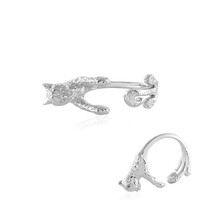 Silberring