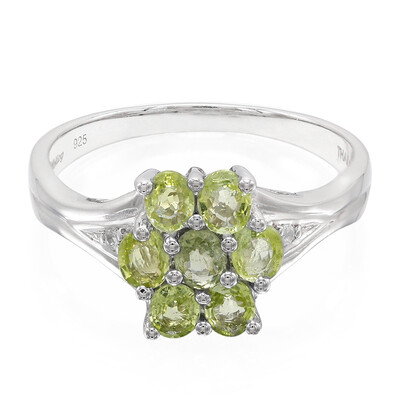 Paraiba-Turmalin-Silberring