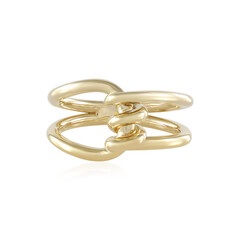 Silberring