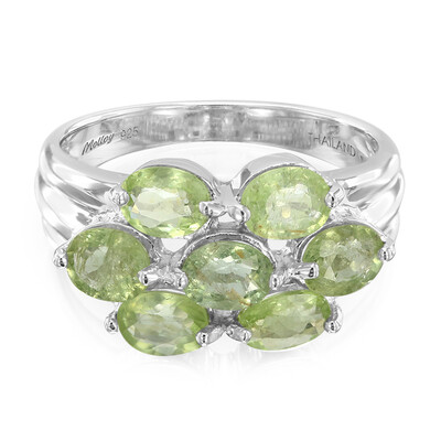 Paraiba-Turmalin-Silberring