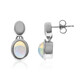 AAA-Welo-Opal-Goldohrringe (CUSTODANA)