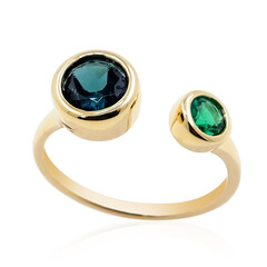 Edelstein-Goldring (de Melo)