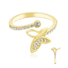 I1 (H) Brillant-Goldring (CIRARI)
