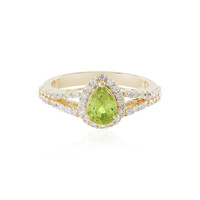 Sphen-Goldring