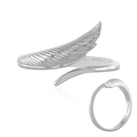 Silberring