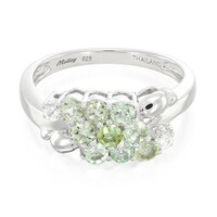 Paraiba-Turmalin-Silberring