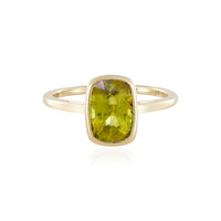 Sphen-Goldring (AMAYANI)