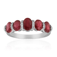 AAA-Mosambik-Rubin-Goldring (CIRARI)