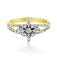 SI2 (G) Brillant-Goldring