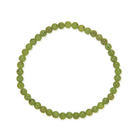 Lizardit-Armband