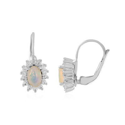 Welo-Opal-Silberohrringe