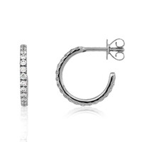 Lupenreiner (F) Brillant-Platinohrringe (LUCENT DIAMONDS)