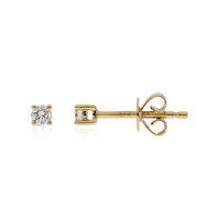 Lupenreiner (F) Brillant-Goldohrringe (LUCENT DIAMONDS)