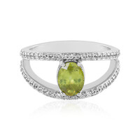 Sphen-Goldring