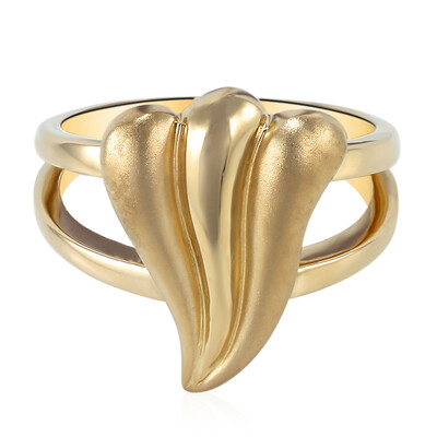 Silberring