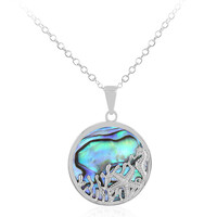 Abalone-Muschel-Silberhalskette