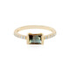 Oregon-Sonnenstein-Goldring (AMAYANI)