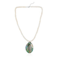 Abalone-Muschel-Silbercollier (TPC)