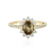Oregon-Sonnenstein-Goldring (AMAYANI)