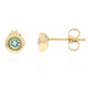 Paraiba-Turmalin-Goldohrringe (CUSTODANA)
