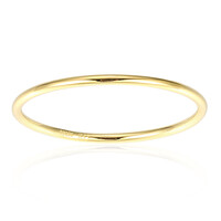 Silberring