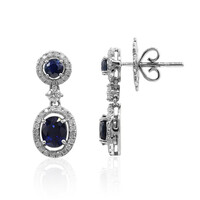 Blauer Saphir-Goldohrringe (Estée Collection)