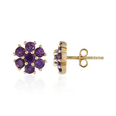 Sambia-Amethyst-Silberohrringe