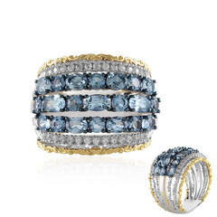 Tansania-Aquamarin-Silberring (Gems en Vogue)