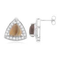 Botswana-Achat-Silberohrringe