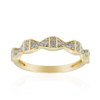 SI2 (H) Brillant-Goldring (CIRARI)