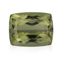 Farbwechsel-Diaspor 8,65 ct