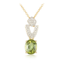 Paraiba-Turmalin-Goldhalskette (AMAYANI)