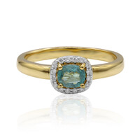 Grandidierit-Goldring (AMAYANI)