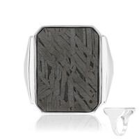 Aletai-Meteorit-Silberring