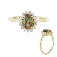 Oregon-Sonnenstein-Goldring (AMAYANI)