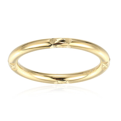 Silberring
