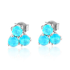 Karibikblauer Opal-Silberohrringe
