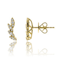 I1 (H) Brillant-Goldohrringe (CIRARI)