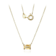 Citrin-Silbercollier