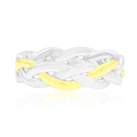 Silberring