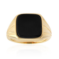 Schwarzer Onyx-Silberring