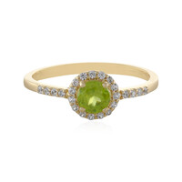 Sphen-Goldring
