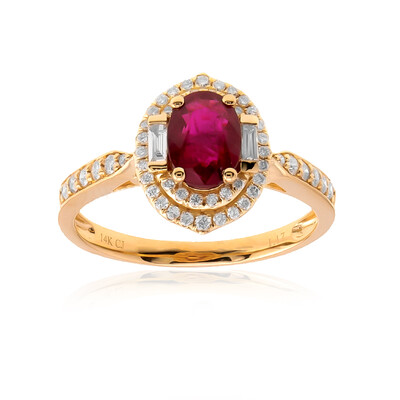 AAA-Mosambik-Rubin-Goldring (CIRARI)