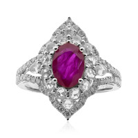 AAA-Mosambik-Rubin-Goldring (CIRARI)