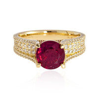 Madagaskar-Rubin-Goldring (de Melo)