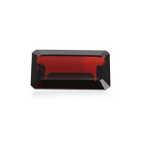 Mosambik-Granat 22,515 ct