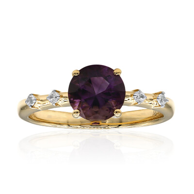 Arizona-Amethyst-Goldring (Amanda Adkins)
