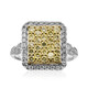 I1 (H) Brillant-Goldring (CIRARI)