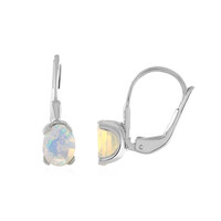 Welo-Opal-Silberohrringe