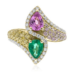 Edelstein-Goldring (CIRARI)